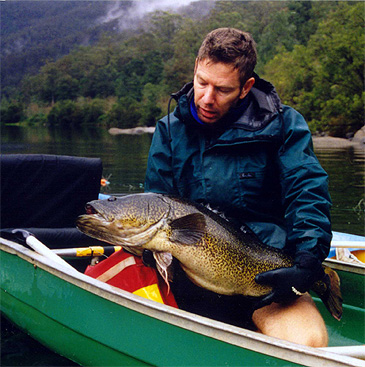 2303_Andy Moore_Clarence River Cod_Maccullochella ikei.jpg
